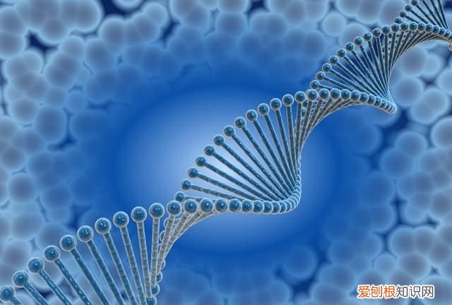 为什么石头里面有贝壳 石头和贝壳有什么区别