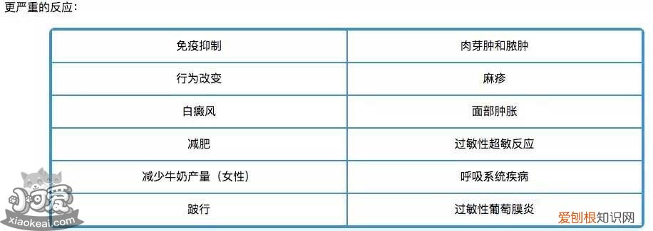 狗抗体检测什么意思 狗抗体检测有必要吗