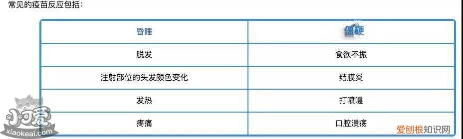 狗抗体检测什么意思 狗抗体检测有必要吗