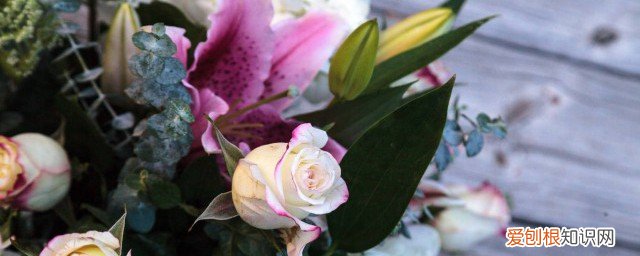 过年家里摆什么红色花 家里摆什么红色花过年比较好