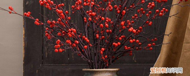 过年可以摆冬青果吗为什么 过年是否可以摆冬青果