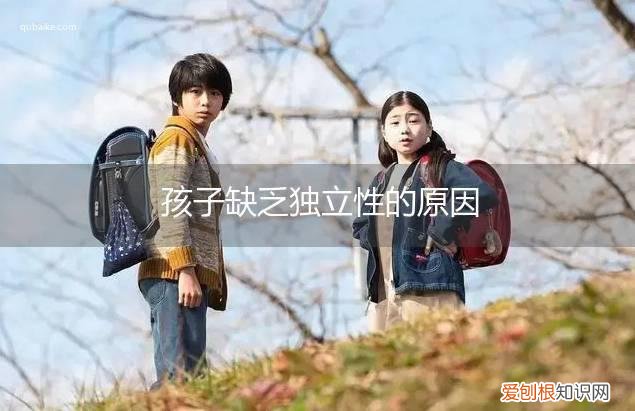 孩子独立不独立有哪些表现 孩子缺乏独立性的原因