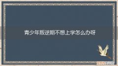 青春期孩子叛逆不想上学怎么办 青少年叛逆期不想上学怎么办呀