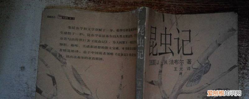 昆虫记 长腹蜂 昆虫记长腹蜂寿命多长