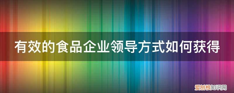 有效领导的途径和方法 有效的食品企业领导方式如何获得