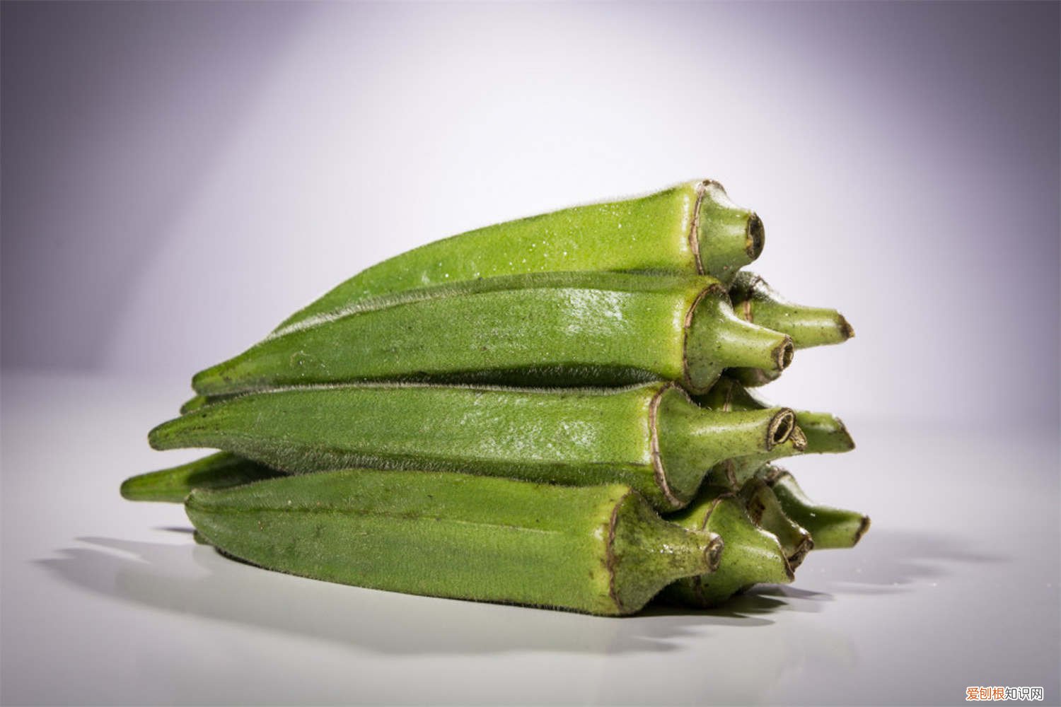 秋葵在南方什么时候播种 南方秋葵什么时候种