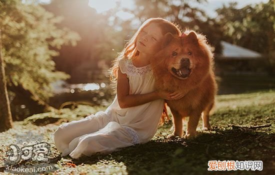 狗身上的螨虫传染人吗怎么治 狗身上的螨虫传染人吗