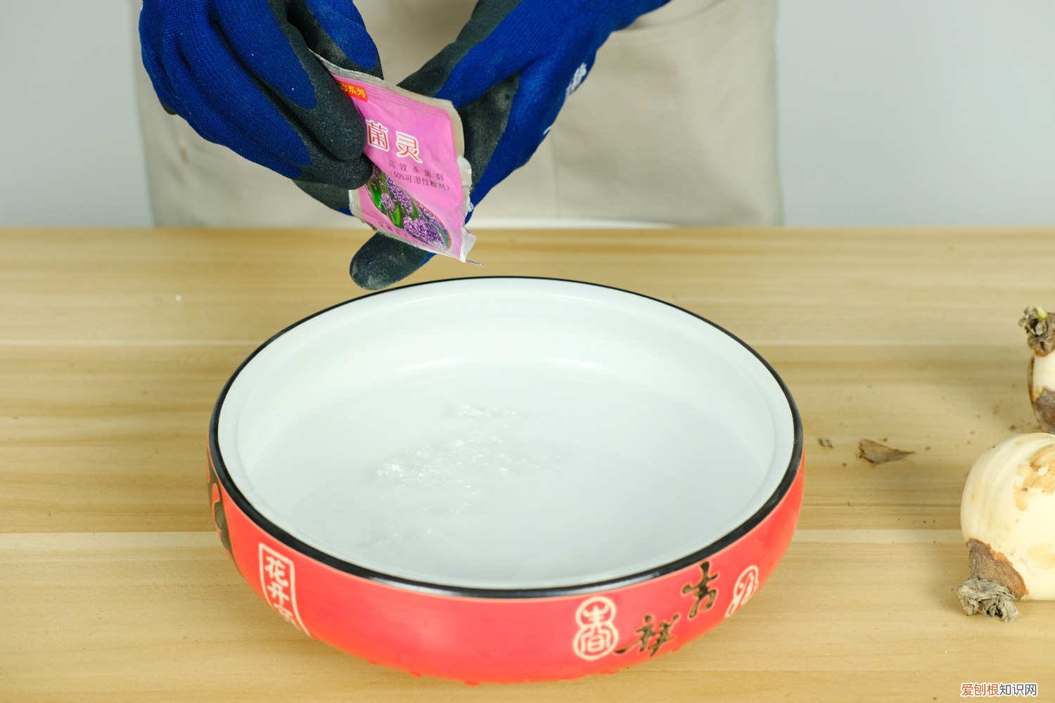 水仙叶子倒伏咋办 水仙花倒伏怎么办