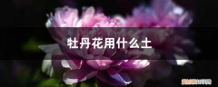 牡丹花用什么土养好 牡丹花用什么土