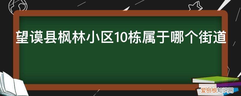 贵州省望谟县枫林小区 望谟县枫林小区10栋属于哪个街道