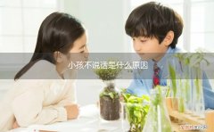 小孩不说话是什么原因造成的来合肥天使 小孩不说话是什么原因