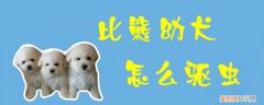 比熊幼犬驱虫药什么牌子好 比熊幼犬怎么驱虫