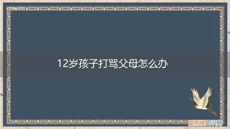 12岁男孩骂父母怎么办 12岁孩子打骂父母怎么办