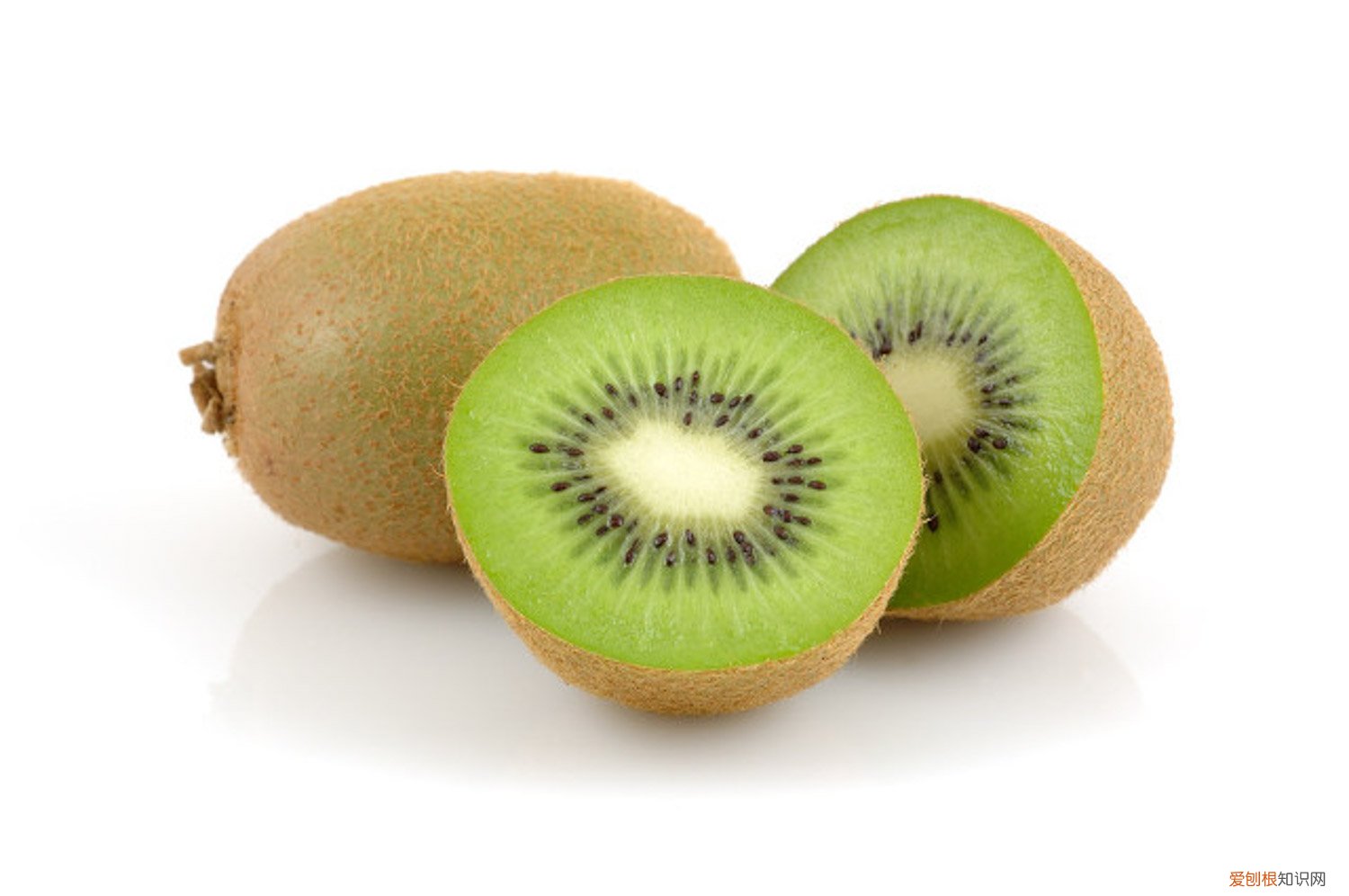 猕猴桃的养殖方法有哪些十七集 猕猴桃的养殖方法