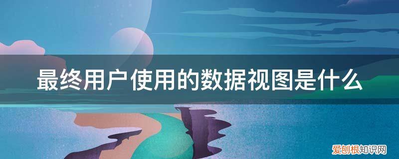 实现了对用户使用的数据视图的描述 最终用户使用的数据视图是什么