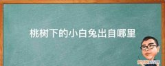 桃树下的小白兔美篇 桃树下的小白兔出自哪里