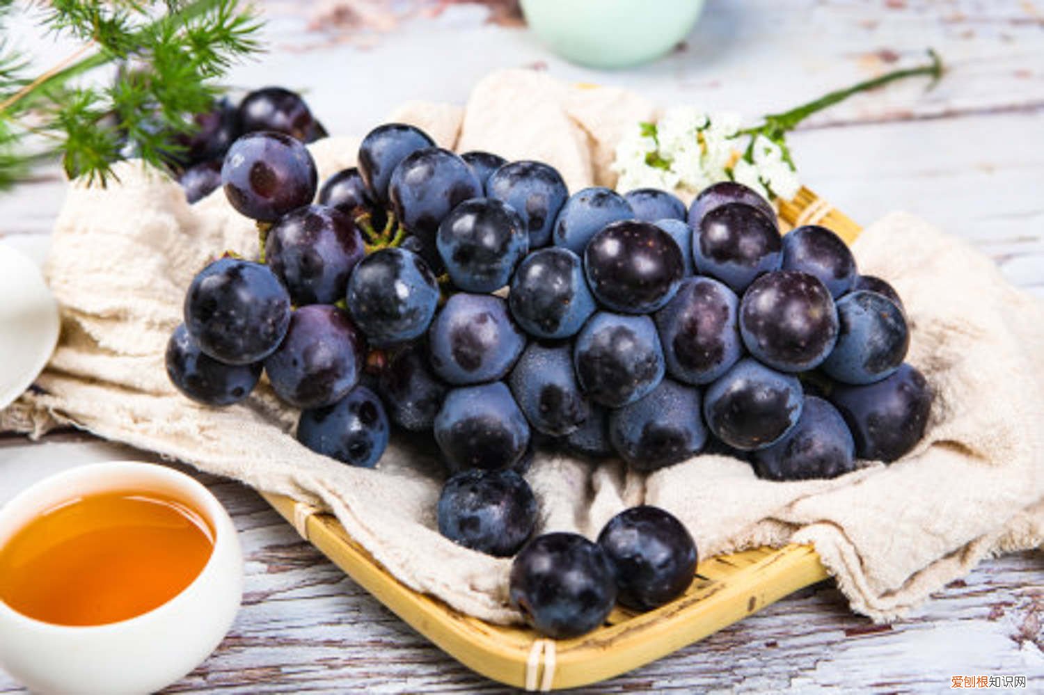 移栽葡萄树苗最佳时间在几月份 葡萄树苗几月份移栽好