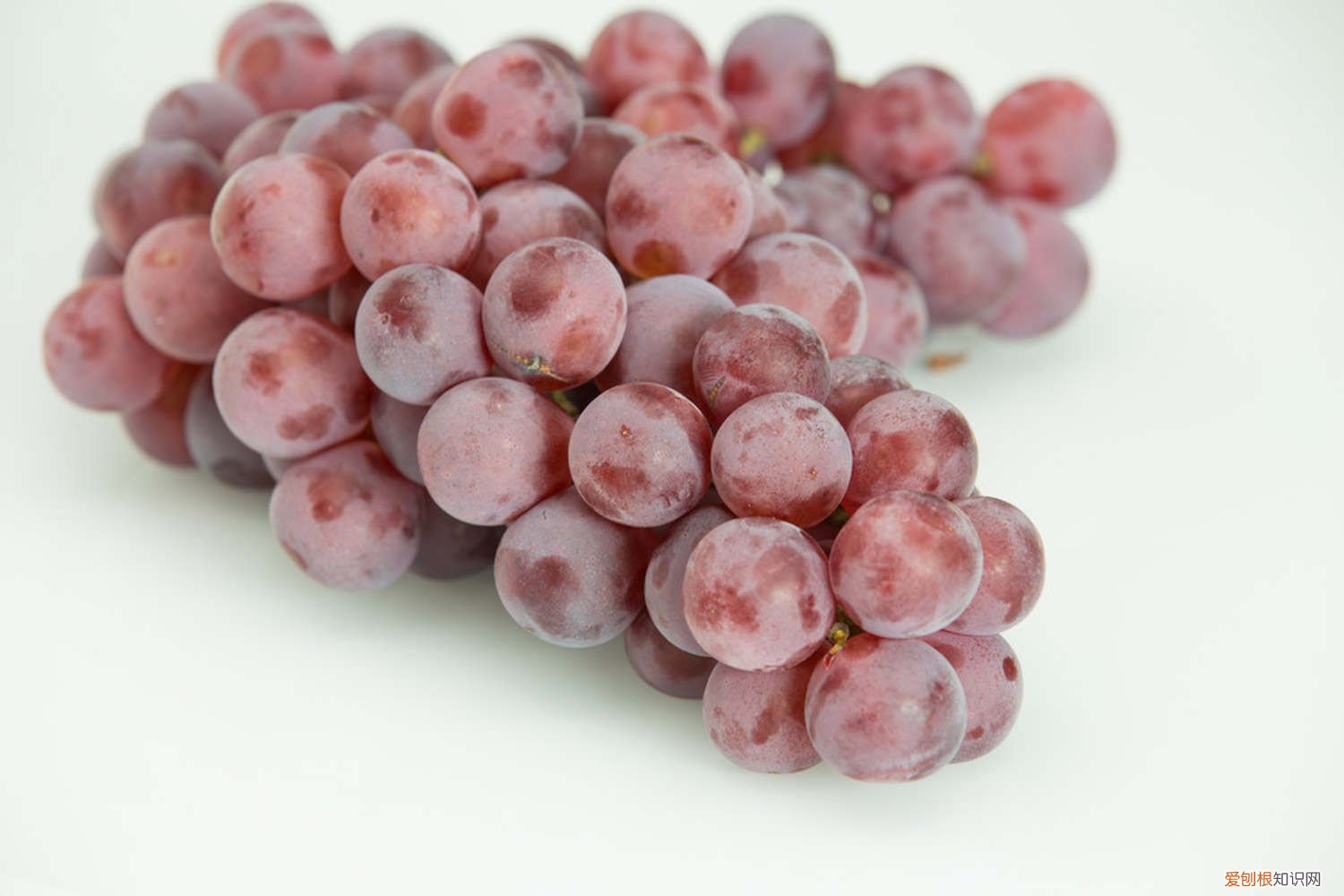 移栽葡萄树苗最佳时间在几月份 葡萄树苗几月份移栽好