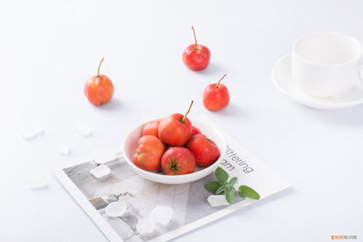 山楂树怎么剪枝图解 山楂树怎么剪枝