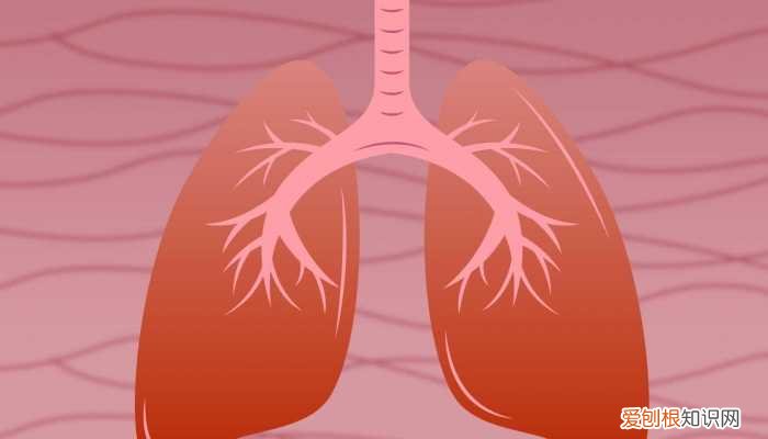 肺部ct检查需要注意些什么 肺部ct检查前要注意什么