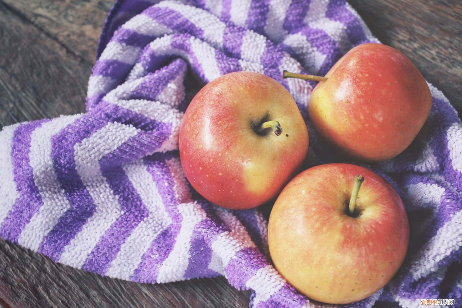 苹果是用种子繁殖的吗 苹果用什么繁殖