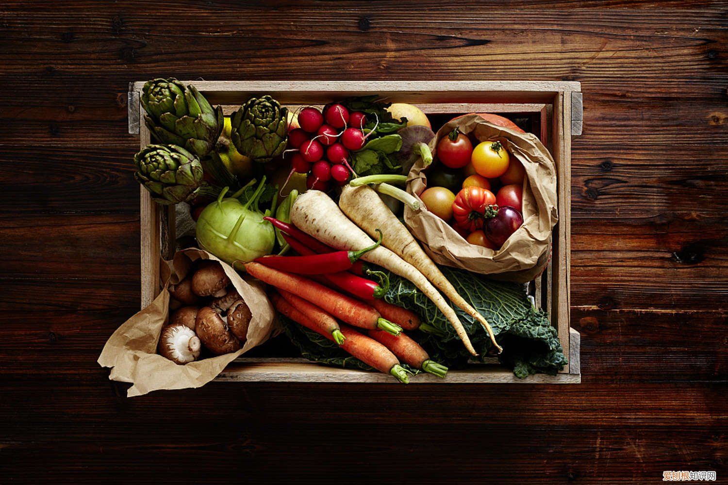 大棚蔬菜种植技术与管理教学视频 大棚蔬菜种植技术