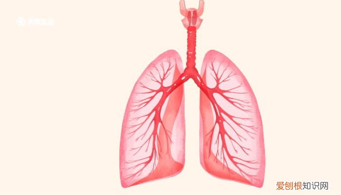 DR检查是什么意思 能检查出什么