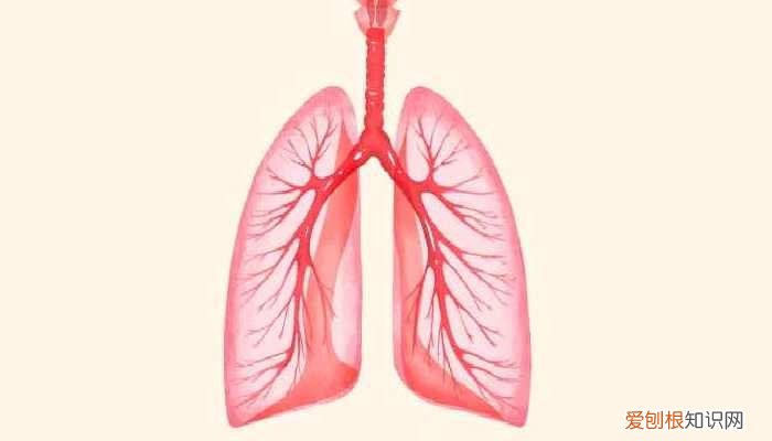 怎么判断自己肺部感染没有症状 怎么判断自己肺部感染