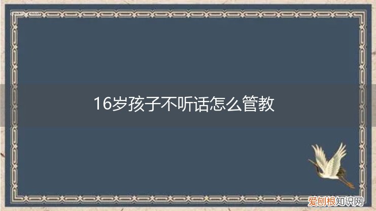 16岁男孩不服管教怎么办 16岁孩子不听话怎么管教