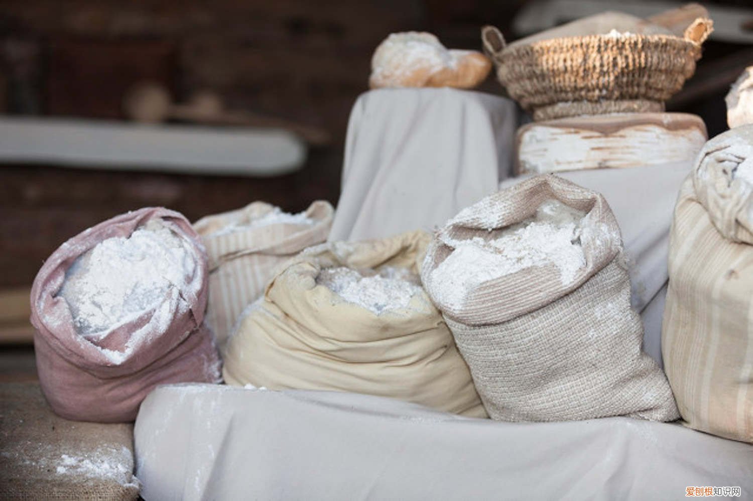 中国最高产的小麦品种有哪些 中国十大小麦新品种