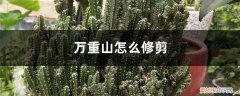 万重山怎么修剪好看 万重山怎么修剪