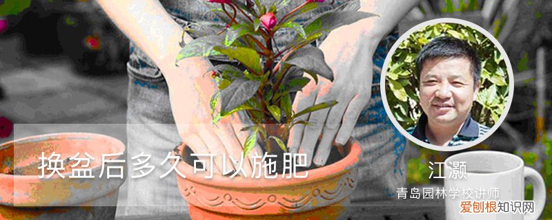 植物换盆后可以施肥吗 换盆后多久可以施肥