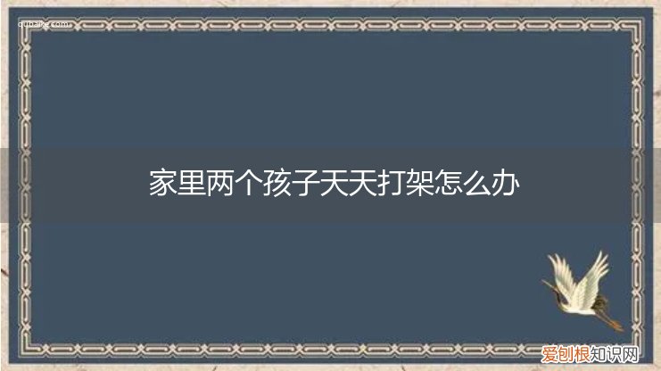 两个儿子天天打架怎么办 家里两个孩子天天打架怎么办