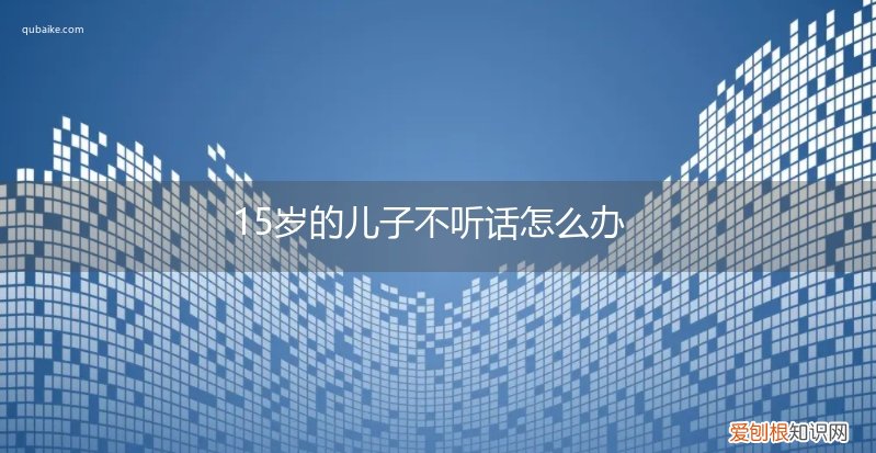 15岁孩子不听话怎么办 15岁的儿子不听话怎么办