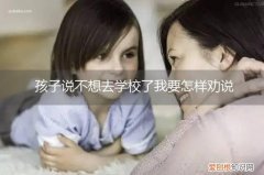 怎么劝说不上学的孩子 孩子说不想去学校了我要怎样劝说