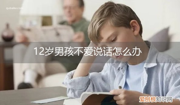 12岁的孩子内向不爱说话怎么办 12岁男孩不爱说话怎么办