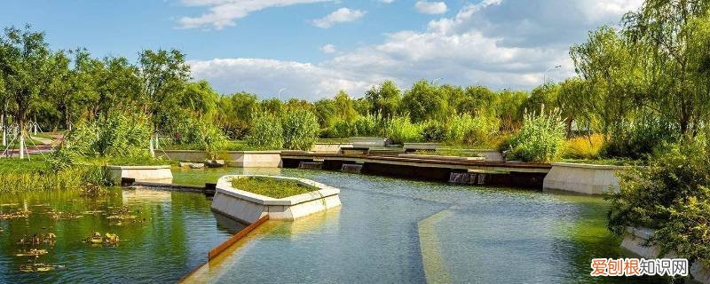 生态学中的景观是什么意思 景观生态学光斑叫景观的什么