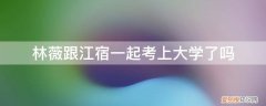 江宿林薇简介 林薇跟江宿一起考上大学了吗