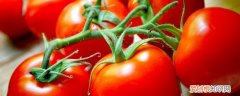 怎么挑小西红柿甜不甜呢 如何挑小西红柿甜不甜呢