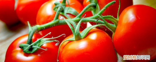 怎么挑小西红柿甜不甜呢 如何挑小西红柿甜不甜呢