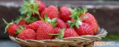 草莓怎么挑甜又大 草莓如何挑选甜又大的呢