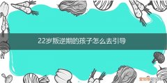 怎样帮助孩子走出叛逆期 22岁叛逆期的孩子怎么去引导