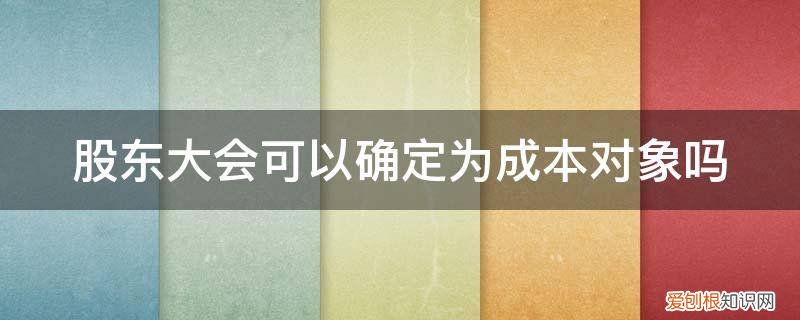 股东大会可以确定为成本对象吗