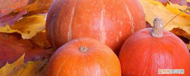 胡萝卜和南瓜蒸的时间一样吗