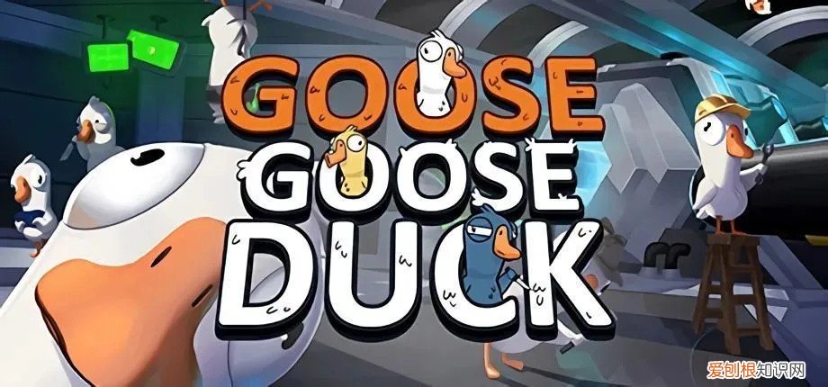 鹅鸭杀星币怎么刷