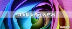 接头部分是什么意思 组织接头是什么意思