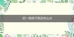 初三男孩子叛逆怎么办 初一男孩子叛逆怎么办