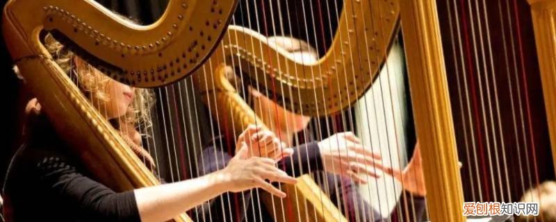 竖琴声音大吗 竖琴属于噪音吗
