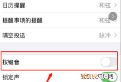 苹果手机按键声音怎么设置，苹果手机怎么开启按键声音