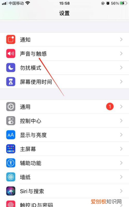 苹果手机按键声音怎么设置，苹果手机怎么开启按键声音
